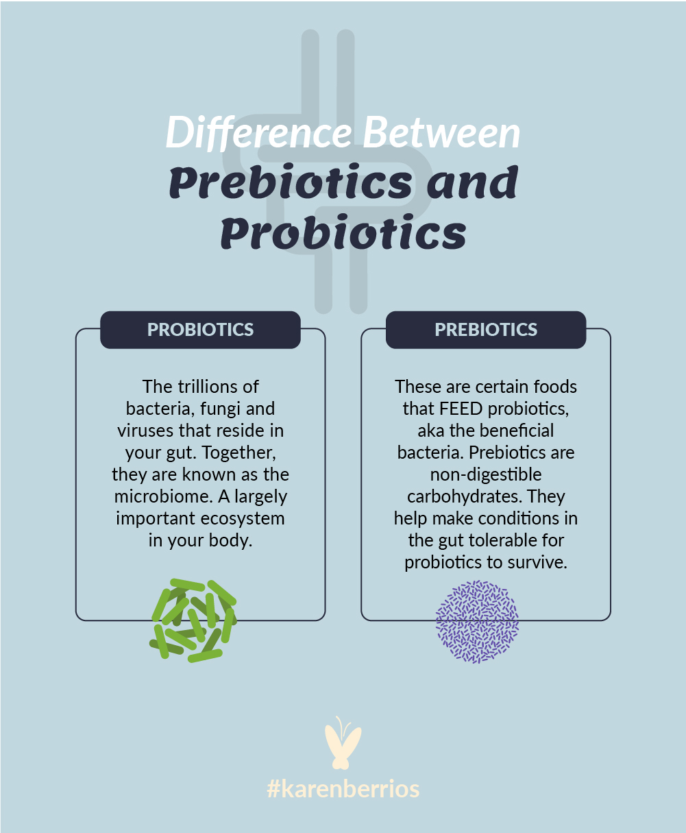 What Are The Differences Between Probiotics And Prebiotics? Karen