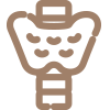 icon-Thyroid-Health