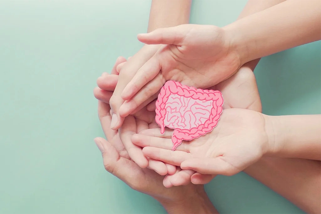 3 La conexión tiroides-intestino es fuerte y cuando hay un desequilibrio en uno, el otro siempre sigue. Es por eso que cuidar su salud intestinal ayuda a mantener su tiroides saludable y puede tener un fuerte efecto en su proceso de curación.