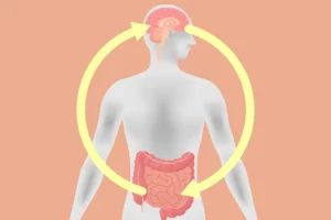 ¿Por que el Estomago es el Segundo Cerebro? - Salud Digestiva