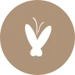 Icon butterfly karen berrios
