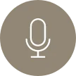 Icon microphone karen berrios